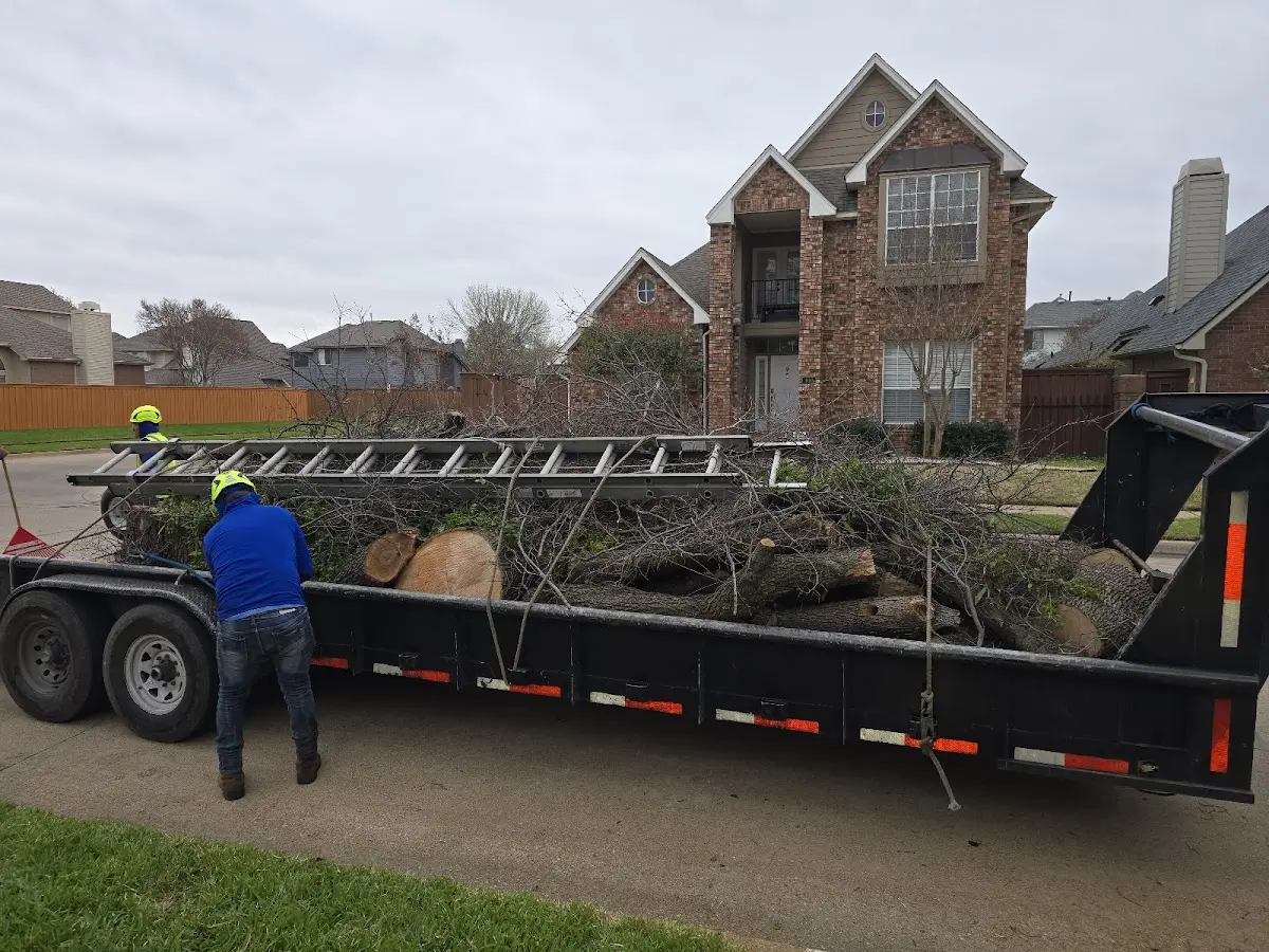 Expert Tree Removal with proper safety equipment in Lastrup